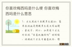 你喜欢梅西吗是什么梗 你喜欢梅西吗是什么意思