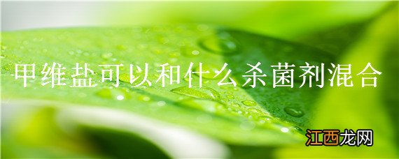 甲维盐能和杀菌农药混用吗 甲维盐可以和什么杀菌剂混合