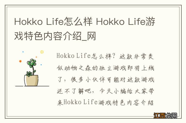 Hokko Life怎么样 Hokko Life游戏特色内容介绍_网