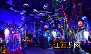 上海科技馆游览小贴上，首先要清楚开放时间