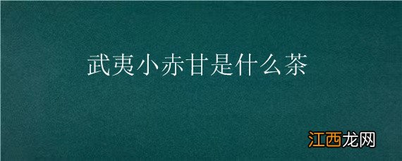 武夷红茶小赤甘 武夷小赤甘是什么茶