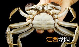 大闸蟹要煮多少分钟才熟 大闸蟹要煮多少分钟