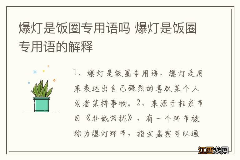 爆灯是饭圈专用语吗 爆灯是饭圈专用语的解释