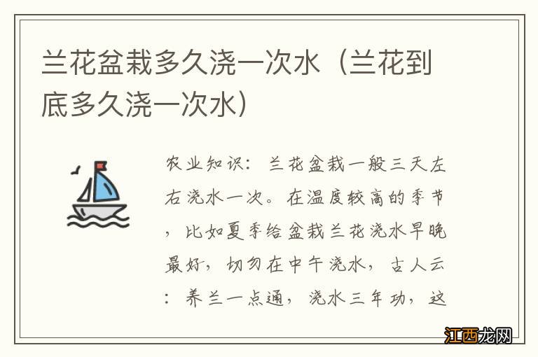 兰花到底多久浇一次水 兰花盆栽多久浇一次水