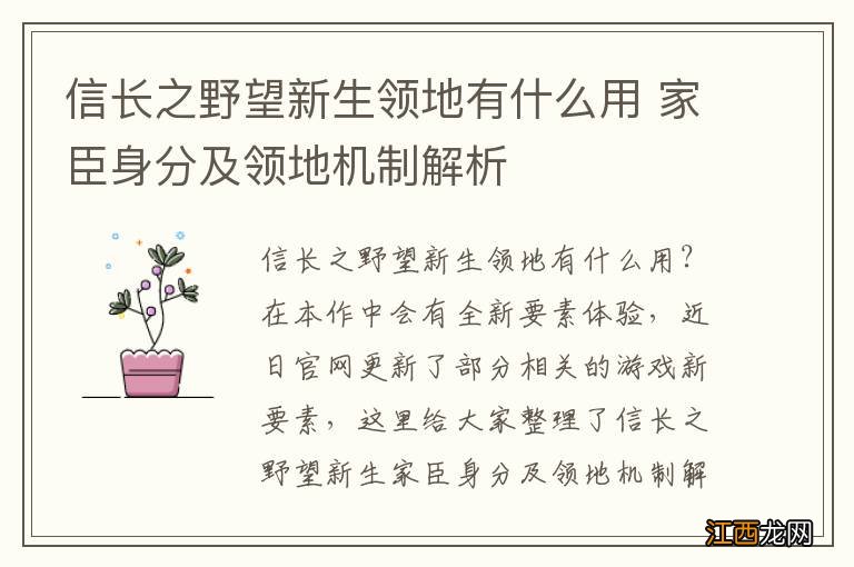 信长之野望新生领地有什么用 家臣身分及领地机制解析