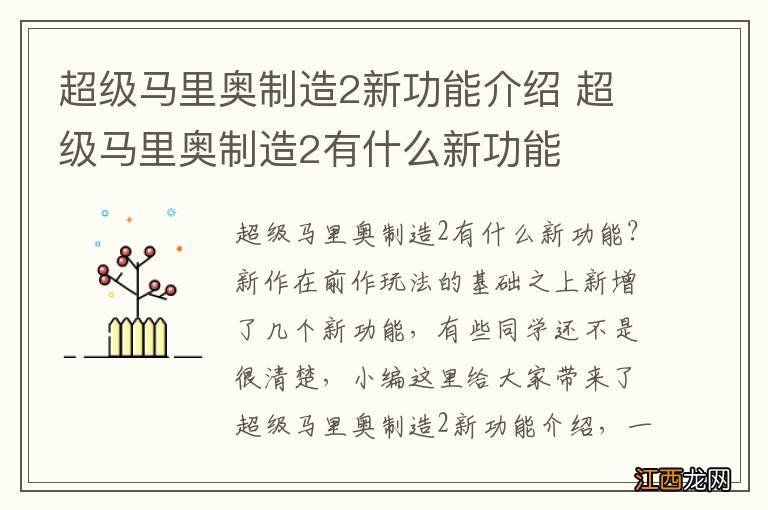 超级马里奥制造2新功能介绍 超级马里奥制造2有什么新功能