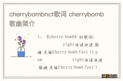 cherrybombnct歌词 cherrybomb歌曲简介