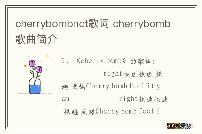 cherrybombnct歌词 cherrybomb歌曲简介