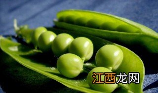 腌制青豆怎么做 如何腌制青豆