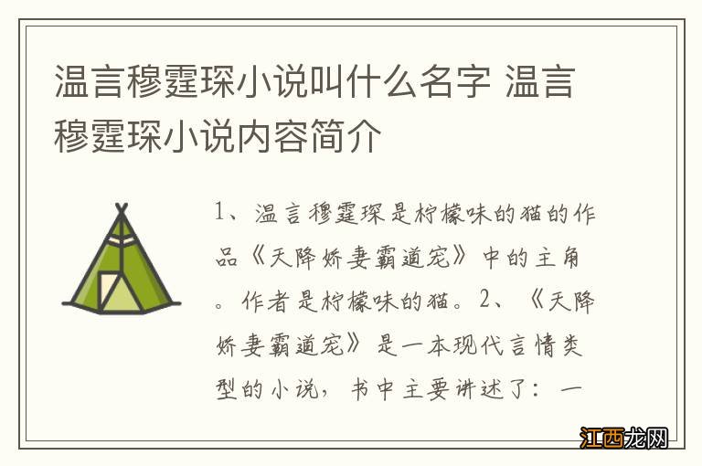 温言穆霆琛小说叫什么名字 温言穆霆琛小说内容简介