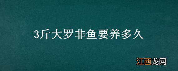 罗非鱼一年能养多大 3斤大罗非鱼要养多久