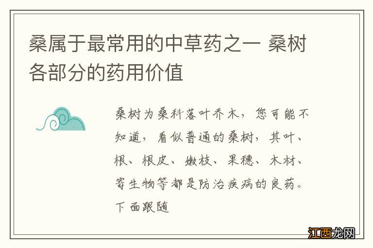 桑属于最常用的中草药之一 桑树各部分的药用价值