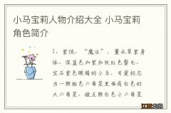 小马宝莉人物介绍大全 小马宝莉角色简介