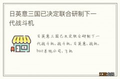 日英意三国已决定联合研制下一代战斗机