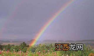 花太阳彩虹你歌词 花太阳彩虹你歌曲介绍