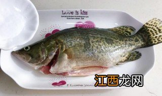 桂鱼怎么收拾干净 桂鱼怎么清理