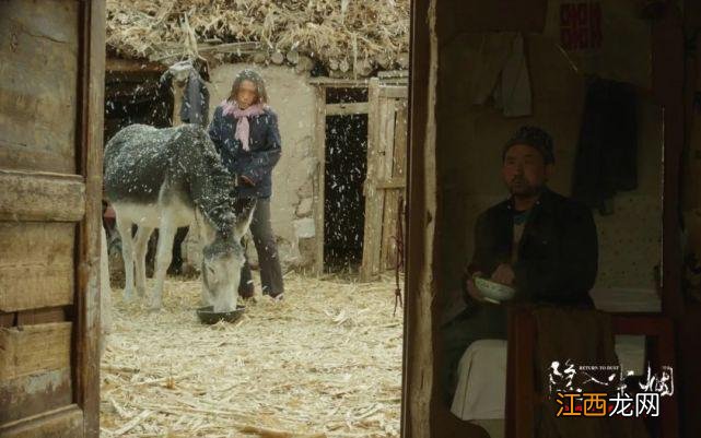 海清变「丑」,影后才稳了