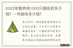 2022年散养鸡1000只需投资多少钱？一年能收多少钱？