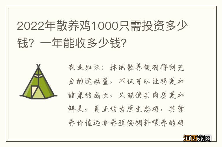 2022年散养鸡1000只需投资多少钱？一年能收多少钱？