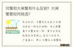 河蟹和大闸蟹有什么区别？大闸蟹要如何挑选？