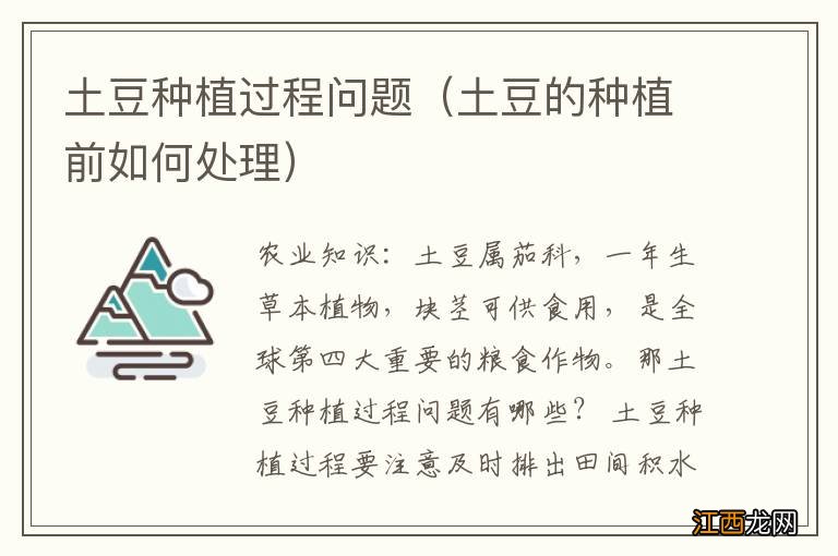 土豆的种植前如何处理 土豆种植过程问题