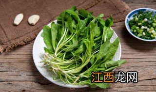 荠菜包扁食怎么做好吃 荠菜扁食的做法