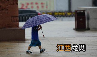 撑伞也是雨中人是什么梗 撑伞也是雨中人解释