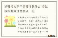 盗贼模拟新手需要注意什么 盗贼模拟游戏注意事项一览