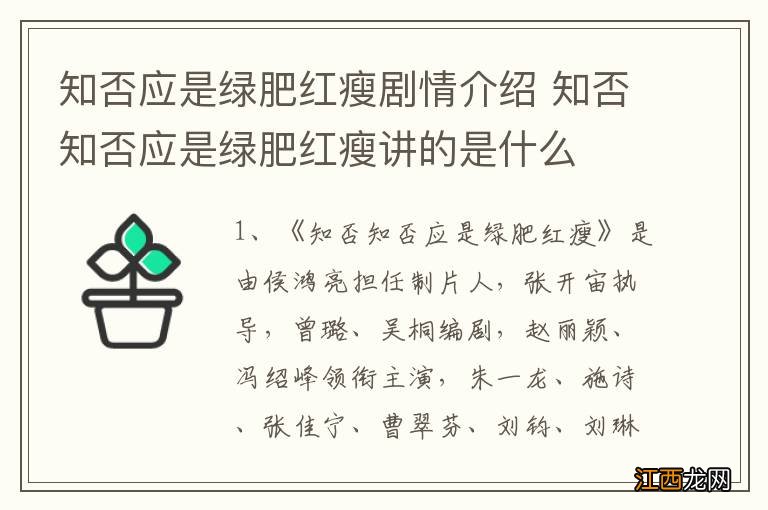 知否应是绿肥红瘦剧情介绍 知否知否应是绿肥红瘦讲的是什么