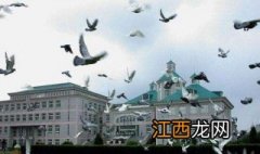 沈阳大学上网攻略