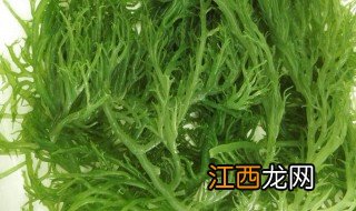 芥辣龙须菜做法步骤 龙须菜可以怎么做