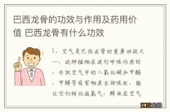 巴西龙骨的功效与作用及药用价值 巴西龙骨有什么功效