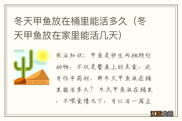 冬天甲鱼放在家里能活几天 冬天甲鱼放在桶里能活多久