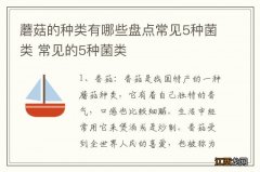 蘑菇的种类有哪些盘点常见5种菌类 常见的5种菌类