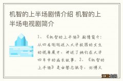 机智的上半场剧情介绍 机智的上半场电视剧简介