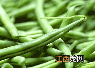 四季豆的食用功效