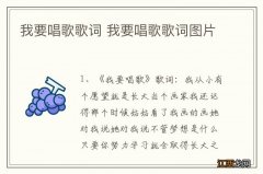 我要唱歌歌词 我要唱歌歌词图片