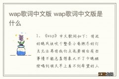 wap歌词中文版 wap歌词中文版是什么