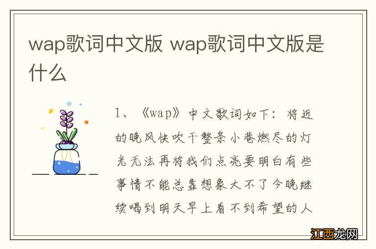 wap歌词中文版 wap歌词中文版是什么