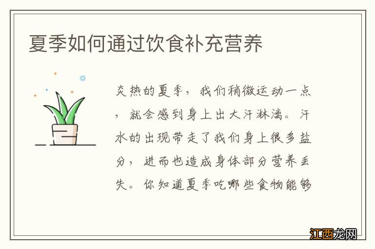 夏季如何通过饮食补充营养