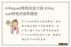 Killsquad特色玩法介绍 Killsquad特色内容有哪些