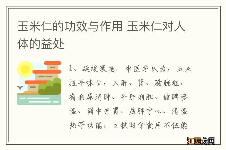 玉米仁的功效与作用 玉米仁对人体的益处