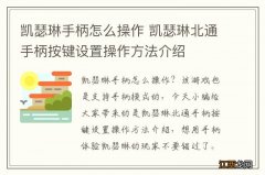 凯瑟琳手柄怎么操作 凯瑟琳北通手柄按键设置操作方法介绍