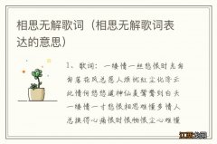 相思无解歌词表达的意思 相思无解歌词