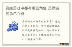 灵媒游戏中都有哪些角色 灵媒游戏角色介绍