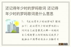 还记得年少时的梦吗歌词 还记得年少时的梦吗歌词是什么意思