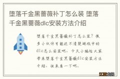 堕落千金黑蔷薇补丁怎么装 堕落千金黑蔷薇dlc安装方法介绍