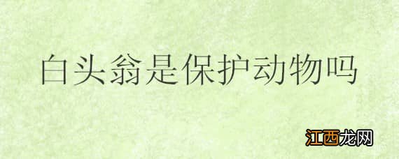 白头翁是保护动物吗 白头翁是保护动物吗!几级?