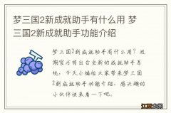 梦三国2新成就助手有什么用 梦三国2新成就助手功能介绍