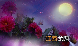 花好月圆剧情介绍 关于花好月圆的剧情介绍